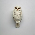 1" owl-snowy