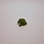 1/2" bullfrog