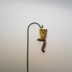 1/2" squirrel on corn feeder