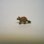 1/4" raccoon- baby walking