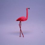 1/4" flamingo