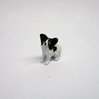 (image for) 1/4" papillon sitting