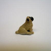 (image for) 1/4" pug sitting