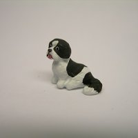(image for) 1/4" shih tzu sitting