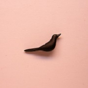 1" blackbird