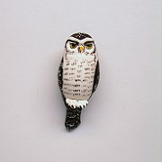 1" owl-hawk owl