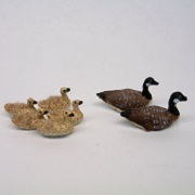 1/4" family of Canada Geese