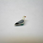 1/4" seagull