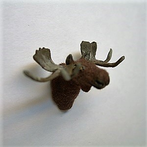1/4" moose head