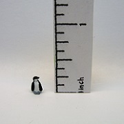 penguin-small